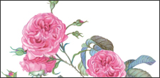 Produktillustration, alessandro